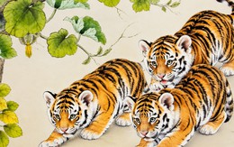 7 ngày tới, vận khí 12 con giáp sẽ có sự đổi chiều: Ai là người gặp nhiều may mắn nhất?