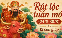 Hái lộc tuần mới (24/8-30/8) cho 12 con giáp: Ai được hưởng may mắn, ai cần cẩn trọng?