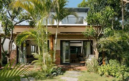 6 lý do vì sao gia đình nào cũng nên trồng cây cau trước cửa