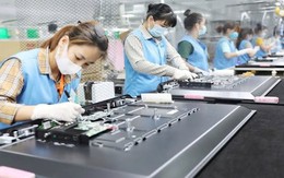 Không phải Mỹ hay Trung Quốc, Việt Nam là quốc gia đầu trên thế giới làm điều này