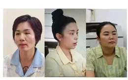 Hải Sapa TV, Huấn Hoa Hồng, Phú Lê bị khởi tố: Điểm chung ở vai trò của người vợ