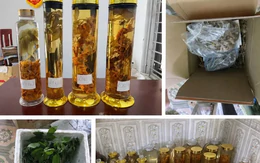 Cô gái lừa bán Sâm Ngọc Linh trên mạng
