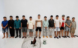 Ập vào kiểm tra 1 tụ điểm, công an tạm giữ hình sự 4 đối tượng, thu giữ 1 con gà và 7 cuộn băng keo