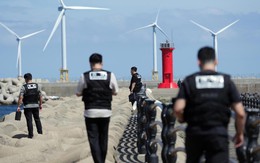 Hàn Quốc: Thi thể cô gái mất tích ở Jeju phơi bày bê bối làm giả hồ sơ điều tra