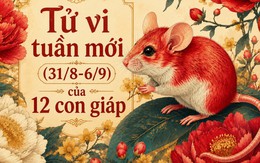 Lời khuyên cho 12 con giáp trong tuần mới (31/8-6/9)