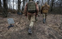 Chỉ VKG cũng đủ khiến Starlink rối loạn