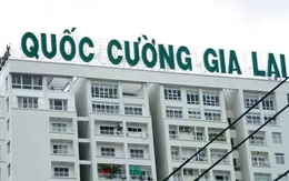 Quốc Cường Gia Lai còn nợ bà Trương Mỹ Lan bao nhiêu tiền?