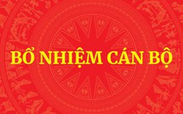 QUY ĐỊNH MỚI: Tiêu chuẩn, điều kiện bổ nhiệm công chức giữ chức vụ lãnh đạo, quản lý