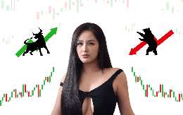 Hoa hậu Mai Phương Thúy từng xuất hiện tại những doanh nghiệp nào?