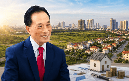 “Việt Nam cần đánh thuế cao với nhà, đất không sử dụng”