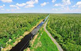 Việt Nam có khu rừng thuộc dạng hiếm bậc nhất thế giới, chia đôi bởi 1 dòng sông, 3 tổ chức cùng vinh danh