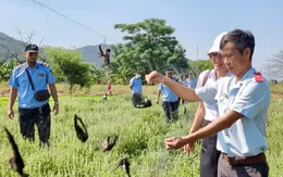 Khánh Hòa 'siết' nạn mua bán động vật hoang dã trên không gian mạng