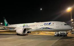2 ngày trước - 5/8, sân bay Tân Sơn Nhất ghi nhận một máy bay lạ cất cánh