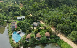 Yêu cầu kiểm tra, xác minh phản ánh villa, homestay mọc trong rừng phòng hộ Sóc Sơn