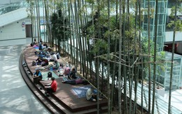 Cảnh tượng lạ ghi nhận tại sân bay Hàn Quốc trong đợt nắng nóng cực điểm