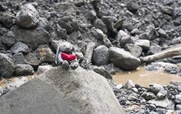 Bức ảnh nhói lòng nhất sau vụ lũ quét tại Nepal - Trung Quốc