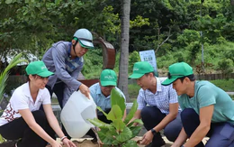 Khởi động chương trình trồng 1 tỷ cây xanh tại đảo Cù Lao Chàm