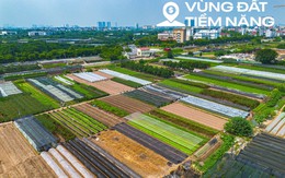 Toàn cảnh dự án công viên công nghệ trị giá 2 tỷ USD của FPT: Rộng gấp 2 lần phố cổ Hà Nội, sẽ là nơi làm việc của 75.000 người