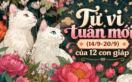 Tử vi tuần mới (14/9-20/9): Top 3 con giáp nhận nhiều lộc lá, công việc lẫn tình duyên đều lên hương