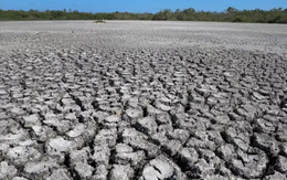 Nhiệt độ toàn cầu cao chưa từng thấy trong 100.000 năm qua