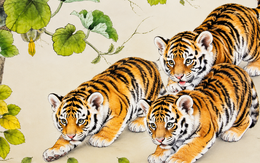 Thông điệp vũ trụ gửi cho 12 con giáp trong tuần mới (14/9-20/9)