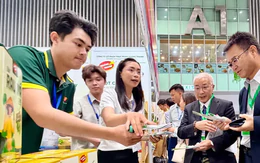 Biến những mùa vàng thành thương vụ tỷ USD