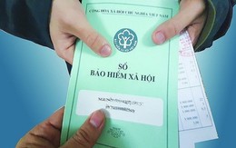 Thông báo quan trọng của Bảo hiểm xã hội Việt Nam, tất cả hộ kinh doanh cần biết