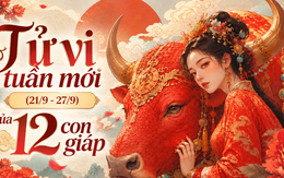 Tử vi tuần mới (21/9-27/9): Top 3 con giáp được Thần Tài chiếu cố, lộc rơi đầy tay, phúc về đầy cửa