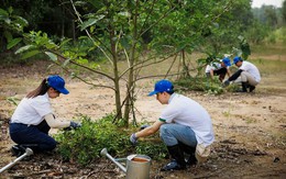 Lấy nước để sản xuất bia, doanh nghiệp này “trả” lại hàng tỷ lít mỗi năm bằng cách không ai ngờ