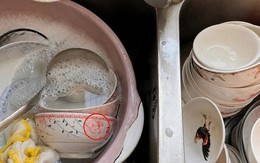 Lời khuyên cho những gia đình đang dùng bát đĩa sứ nhiều màu, nhiều họa tiết