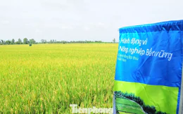 Cần Thơ đẩy mạnh sử dụng phân bón hữu cơ để giảm phát thải