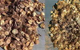 Phát hiện kho bạc nặng 4,5 kg sau hàng thế kỷ nằm dưới lòng đất, người tìm thấy được nhận bao nhiêu tiền?