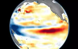 Siêu El Niño đã đạt cấp độ Godzilla, mạnh nhất trong 1.000 năm