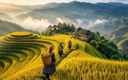 Việt Nam có địa điểm lọt TOP "sắc màu nhất thế giới”: Người dân làm du lịch trên 853 ha ruộng bậc thang, MICHELIN cũng phải vinh danh