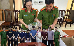 Thi hành lệnh bắt tạm giam Dương Thị Quỳnh 33 tuổi, truy xét 1.427 nạn nhân