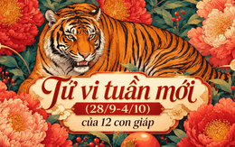 Tử vi tuần mới (28/9-4/10): Top 3 con giáp tài vận hanh thông nhất, tình duyên cũng lên hương