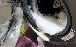 5 sai lầm khiến máy giặt "xịn" mấy cũng hỏng, cả gia đình bệnh tật: Cái số 4 ai cũng từng làm!