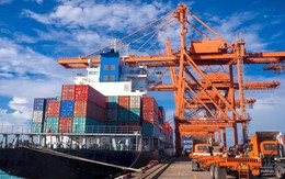 Kim ngạch xuất nhập khẩu lập kỷ lục mới