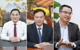 Cao su Miền Nam, Đạm Ninh Bình, Apatit Việt Nam đồng loạt thay Tổng giám đốc