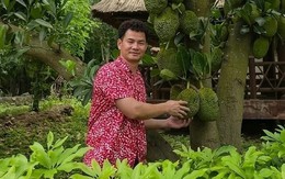 Vườn nhà nghìn mét vuông của NSND Xuân Bắc