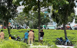Nam thanh niên đi bộ trên đường ray ở TPHCM bị tàu hỏa tông tử vong