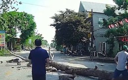Bị cây đang cưa ven đường đổ trúng, người đi xe máy tử vong