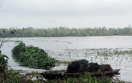Phú Yên: Lật ghe giữa sông Ba, 2 phụ nữ mất tích