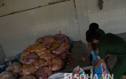 TP.HCM: Thịt “bẩn” ồ ạt tràn vào thành phố dịp cuối năm