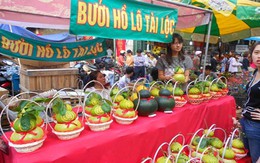 Cây cảnh, hoa quả xa xỉ ế khách tại Hà Nội
