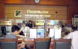 Nợ xấu ngân hàng Agribank bằng vốn cả chục ngân hàng