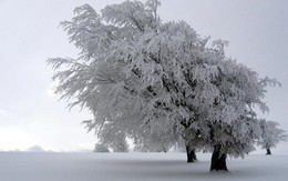 6 hiện tượng thiên nhiên tuyệt đẹp chỉ có vào mùa đông