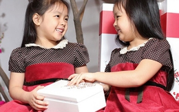 Thái Bình là tỉnh đầu tiên ở Việt Nam sinh 2 con gái được thưởng