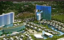 Thương hiệu đại gia:"Đốn củi một năm, thiêu một giờ"