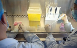 Đã xuất hiện thuốc có khả năng điều trị cúm A/H7N9